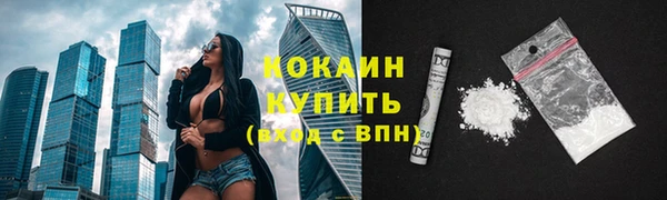 индика Баксан