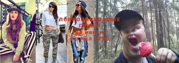 индика Баксан