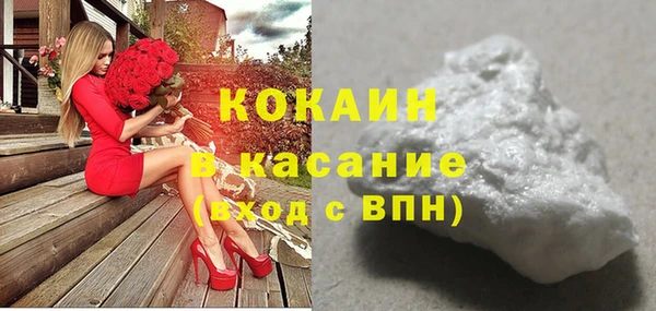 индика Баксан