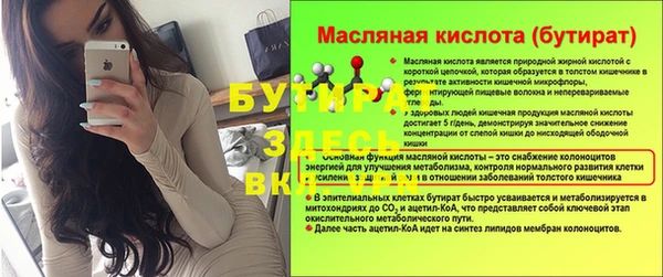индика Баксан