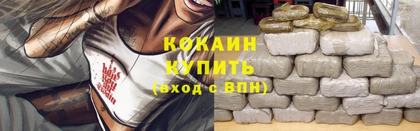 индика Баксан
